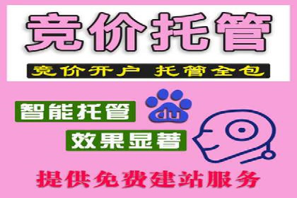 SEM竞价培训：案例分析及策略优化